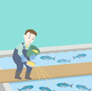 Fish farm operator