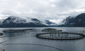 An ASC certified fish farm in Norway